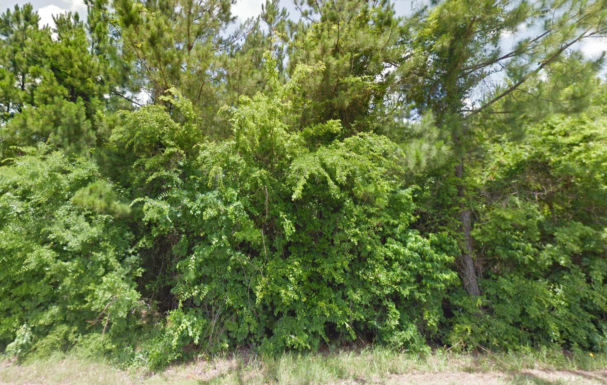 Jasper, Jasper County, TX Recreational Property, Undeveloped Land