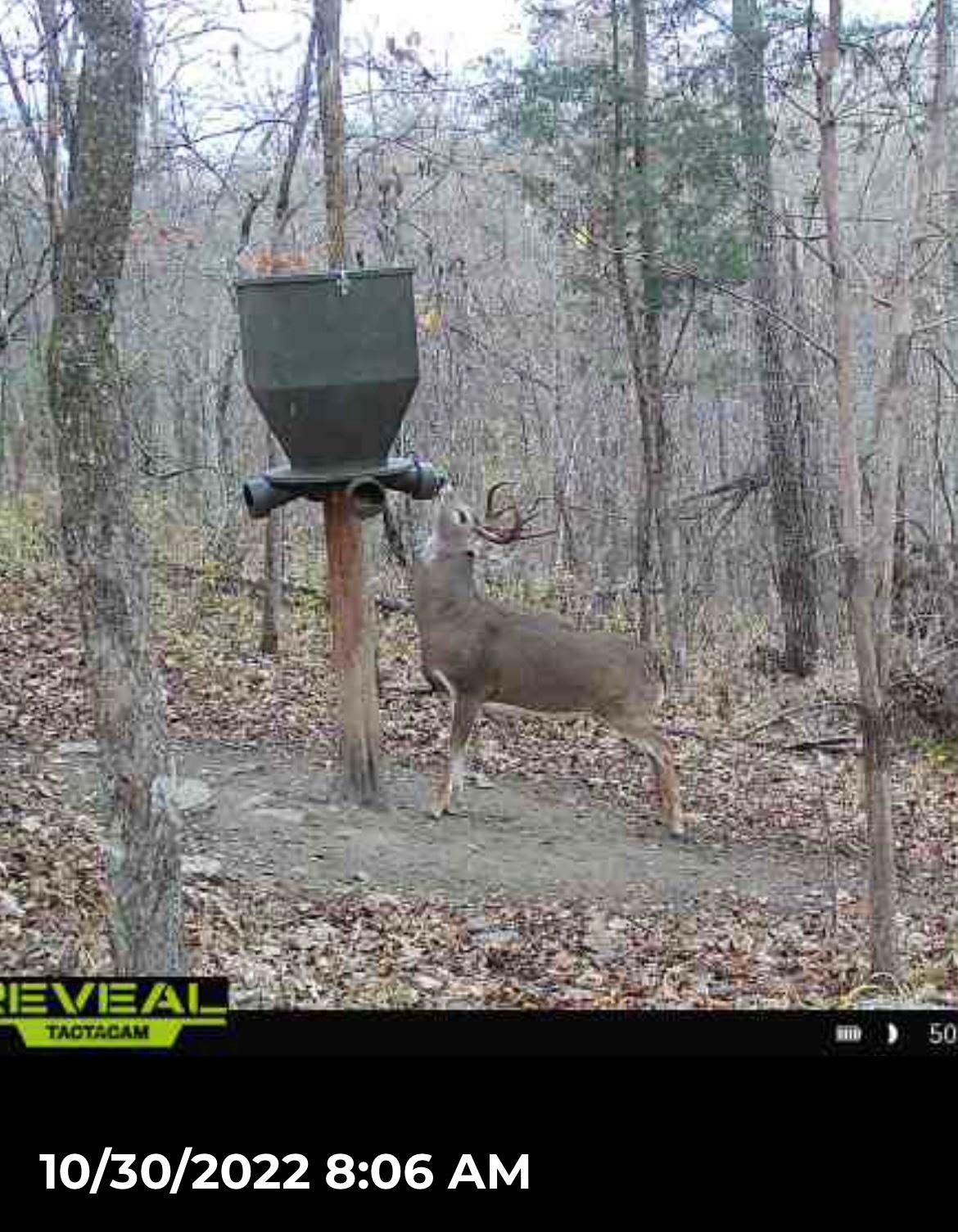 Manchester, Adams County, OH Recreational Property, Hunting Property for sale Property ID