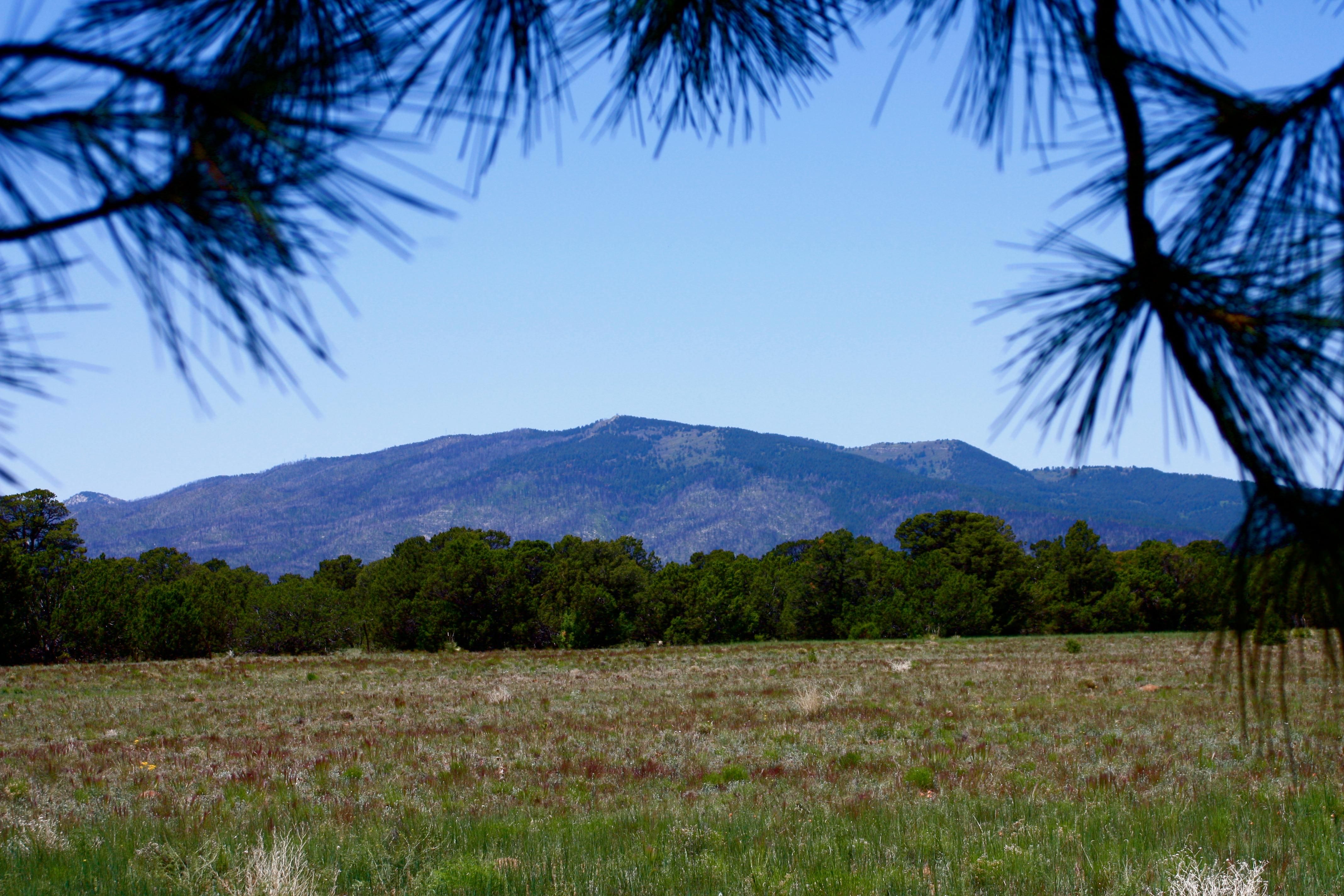 Torreon, Torrance County, NM Hunting Property, Horse Property for sale Property ID 417928815