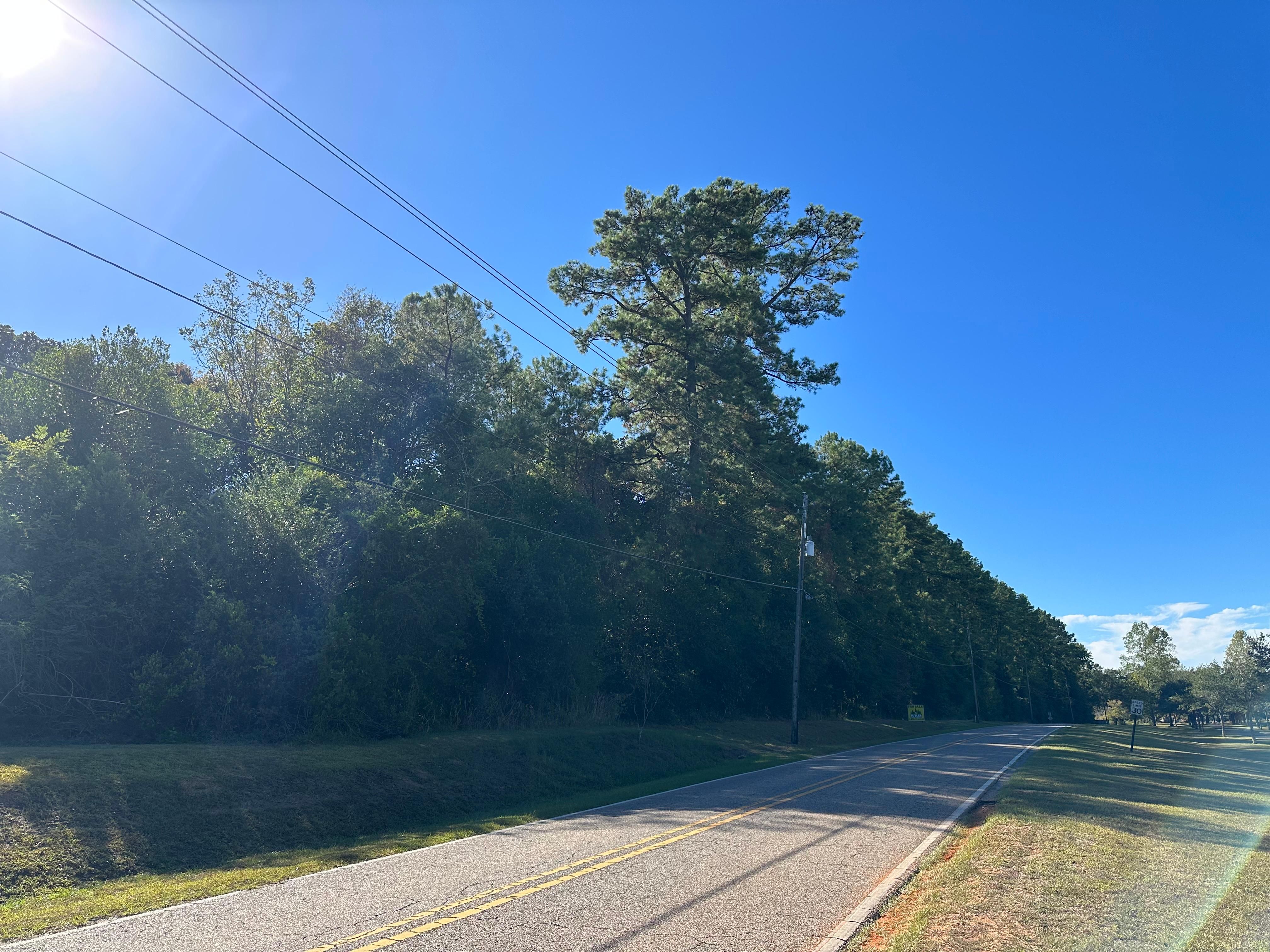 Citronelle, Mobile County, AL Recreational Property, Timberland