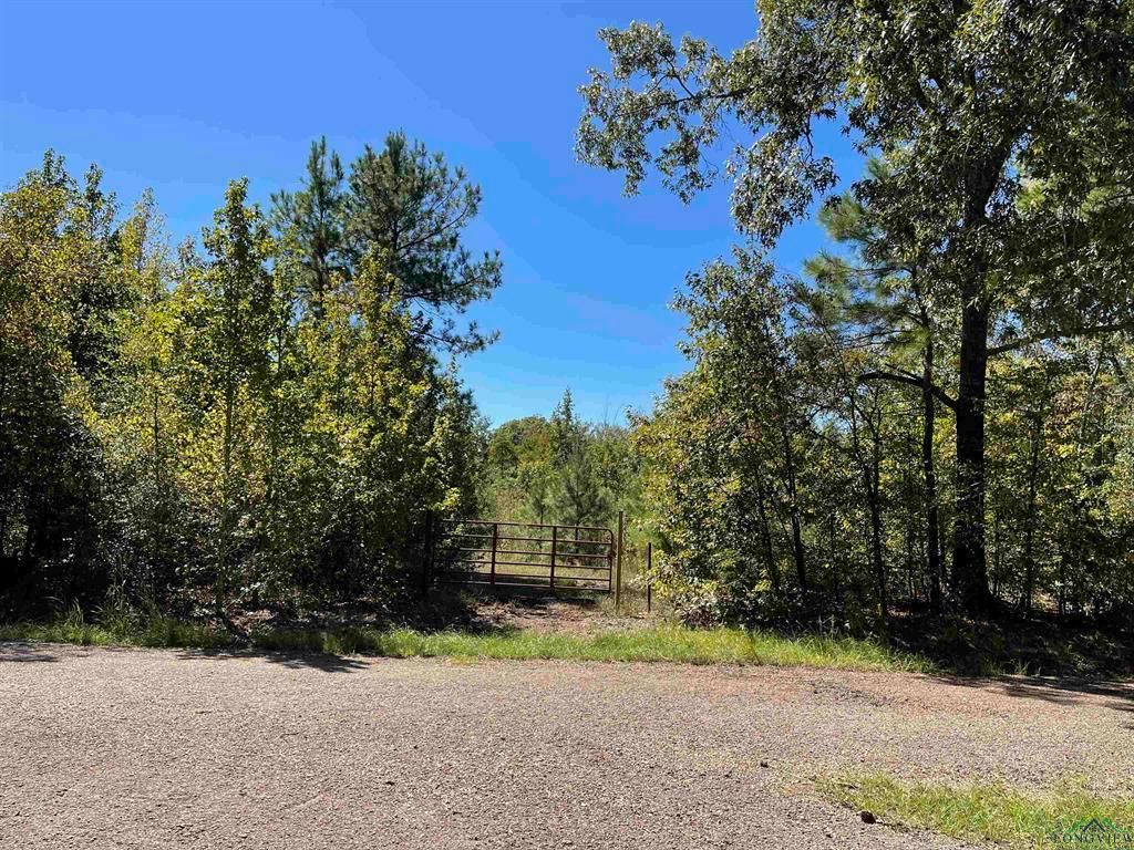 Marshall, Harrison County, TX Hunting Property for sale Property ID