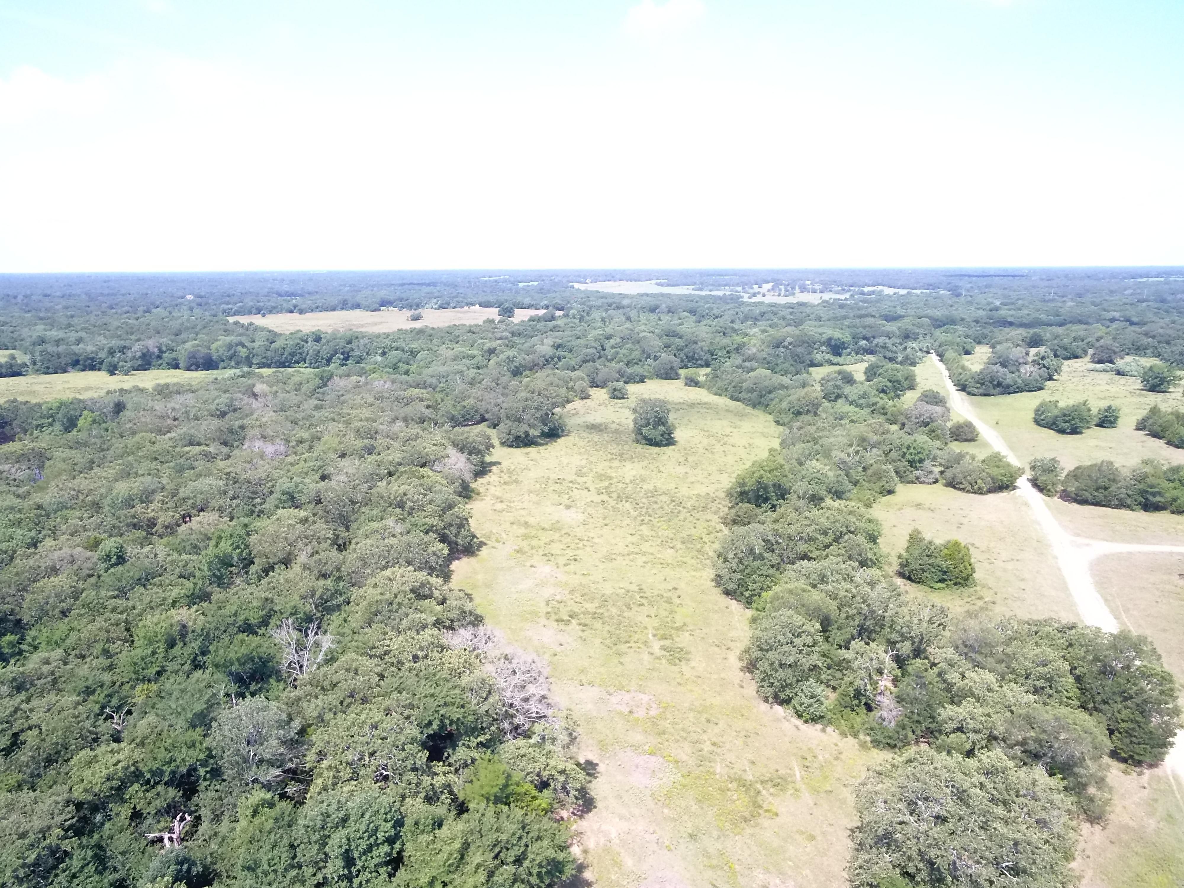 Fairfield, Freestone County, TX Recreational Property, Hunting Property