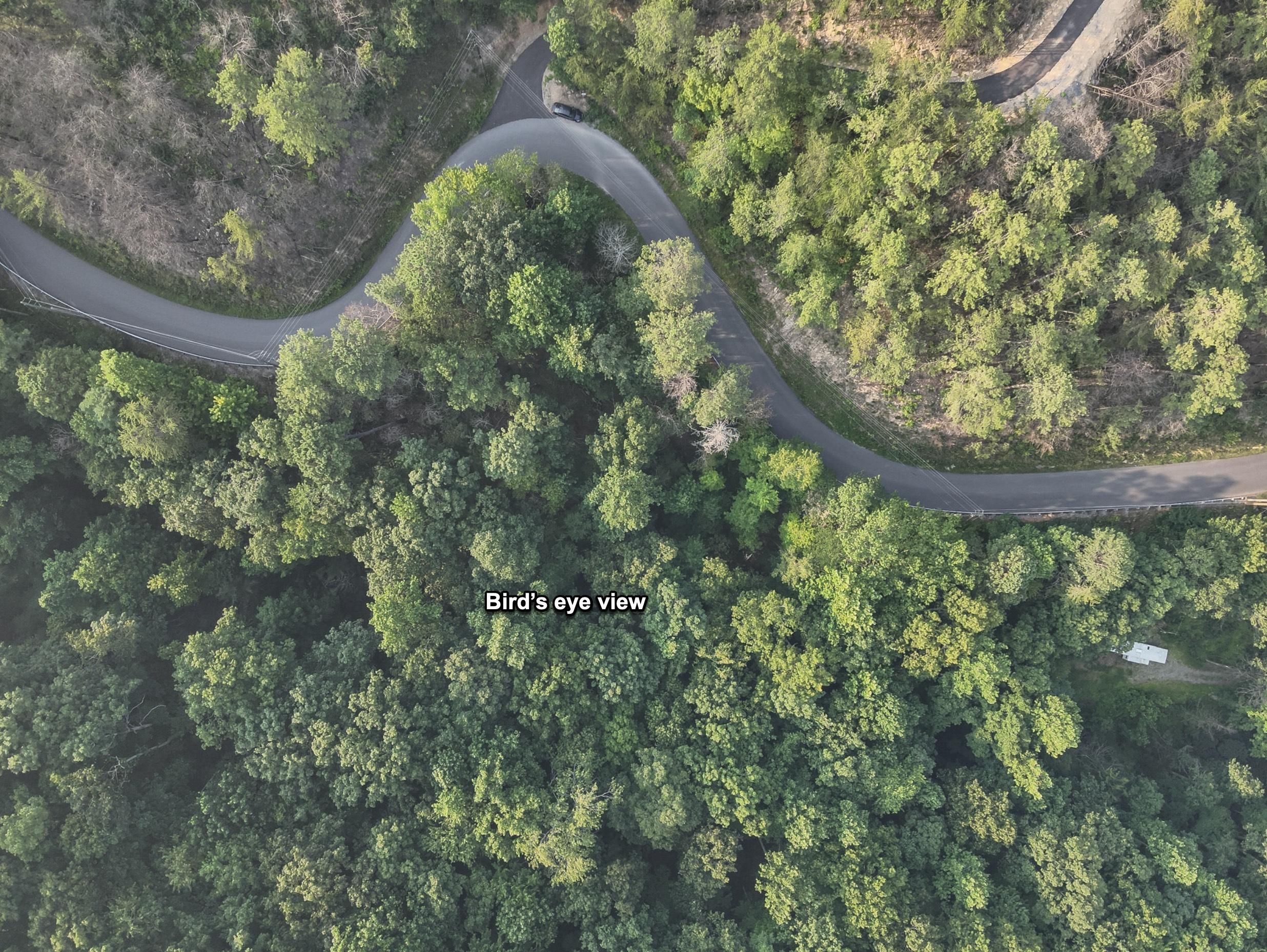 Sevierville, Sevier County, TN Recreational Property, Undeveloped Land