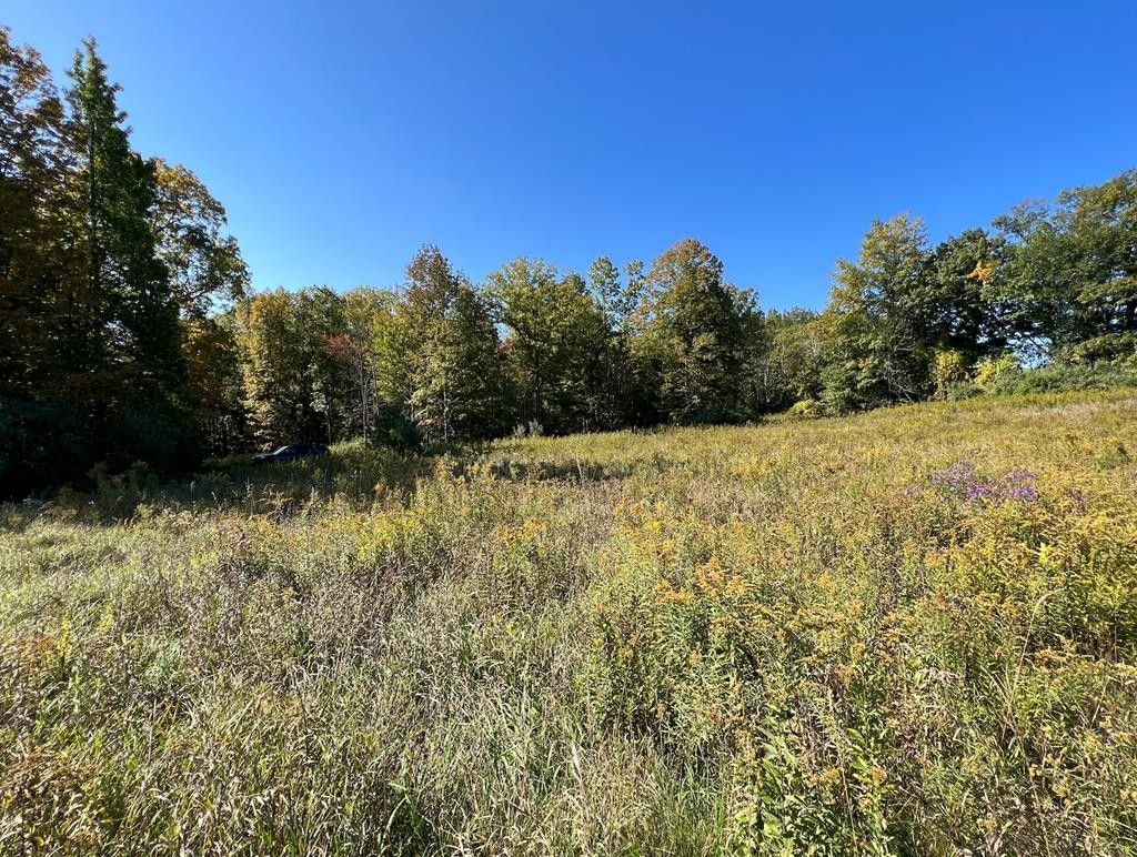 Waverly, Chemung County, NY Undeveloped Land for sale Property ID