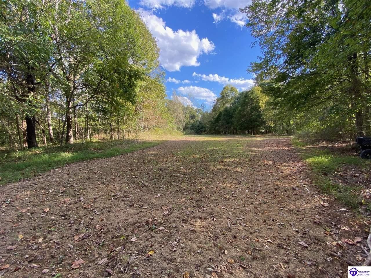 Fordsville, Ohio County, KY Undeveloped Land for sale Property ID