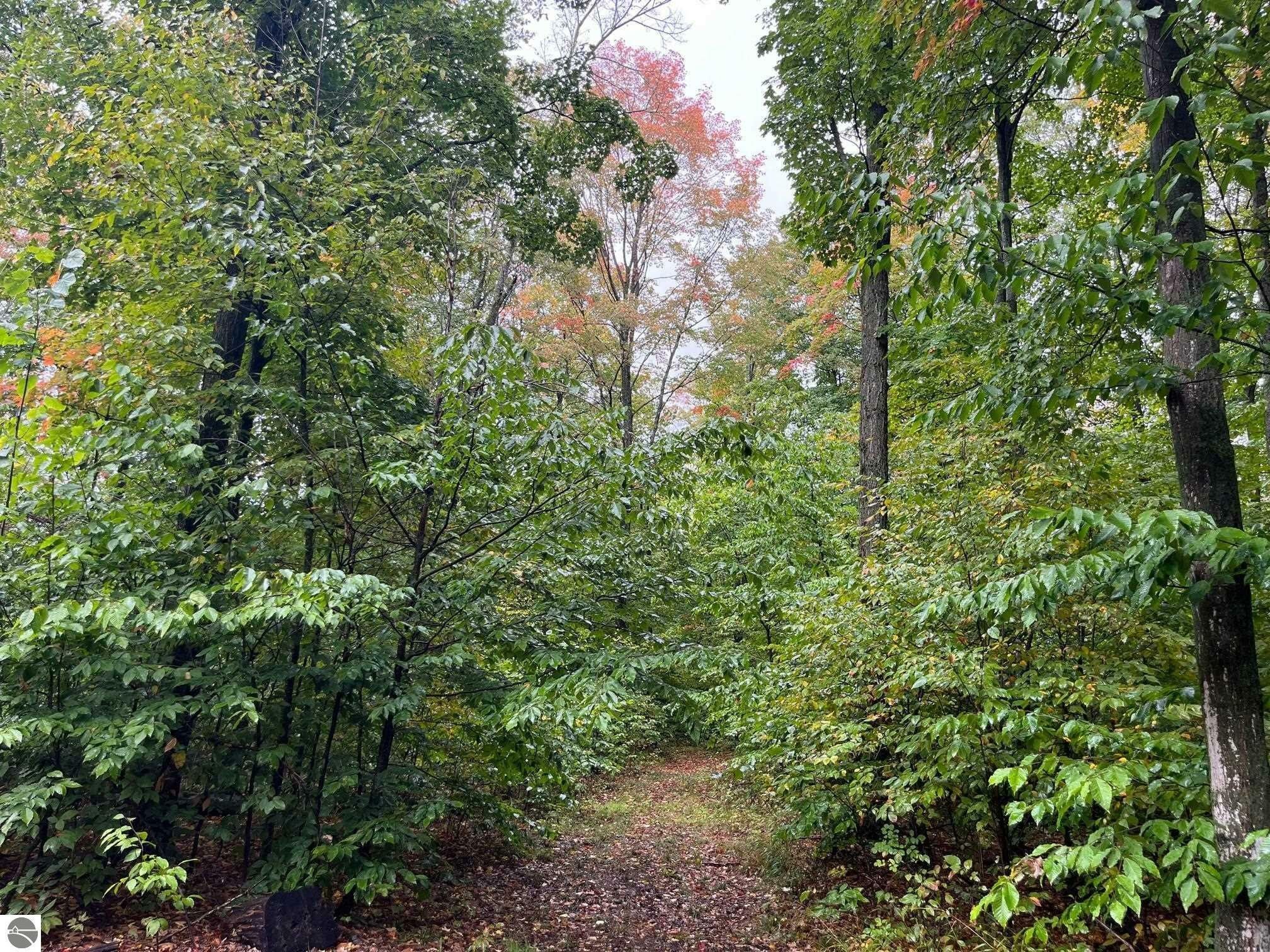 Alden, Kalkaska County, MI Undeveloped Land for sale Property ID