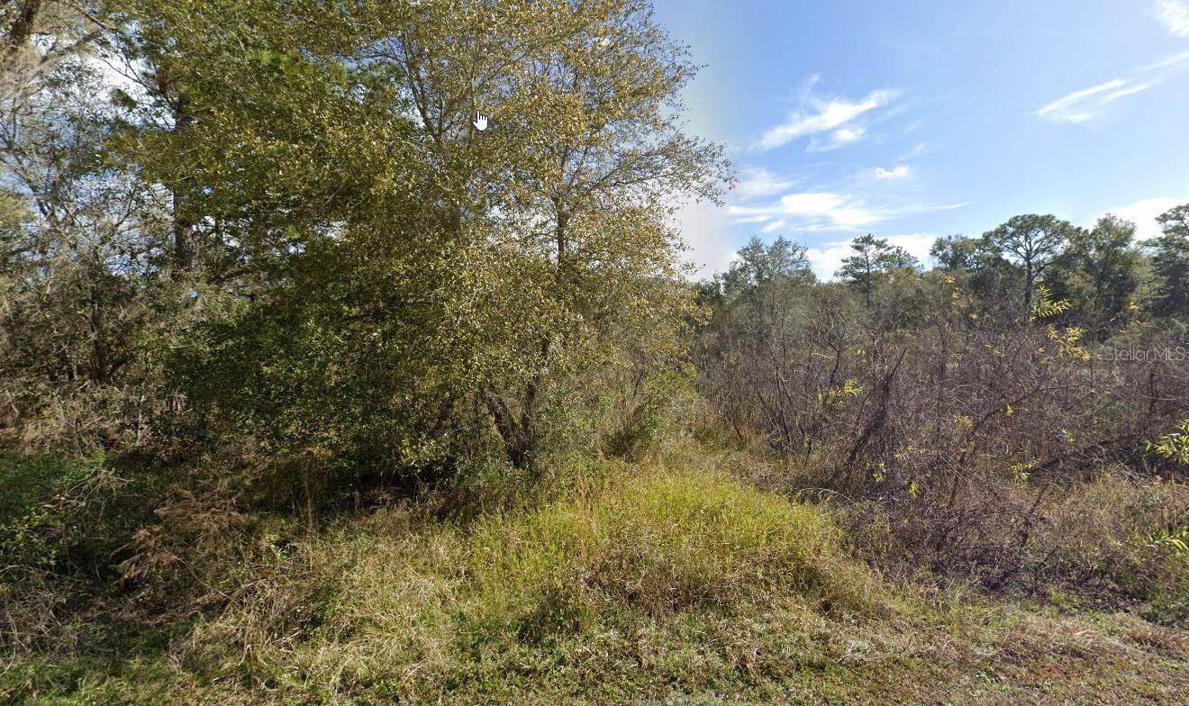ster, Hernando County, FL Undeveloped Land, Homesites for sale