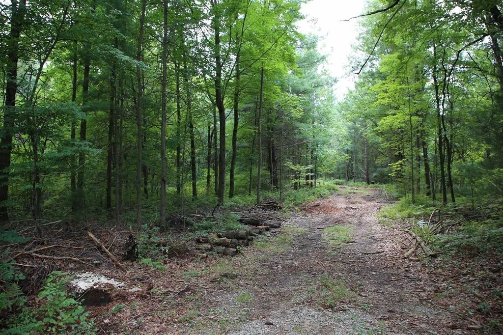 Sanford, Midland County, MI Undeveloped Land for sale Property ID