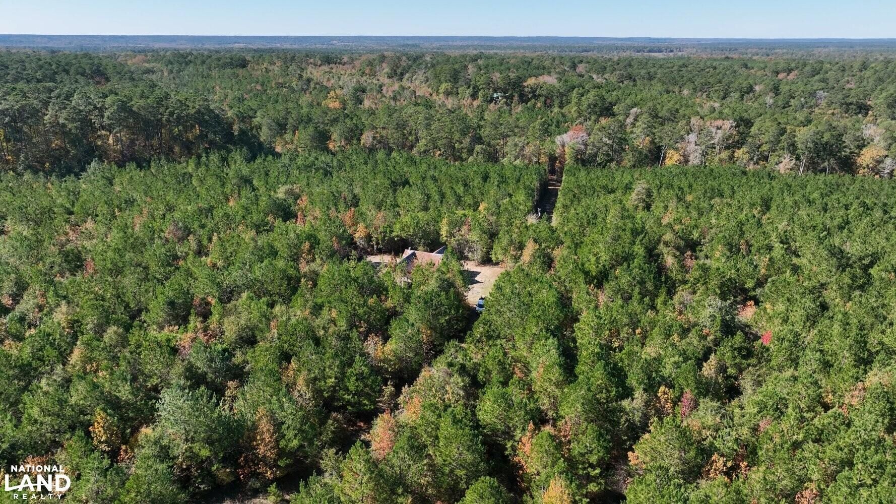 Cleveland, San Jacinto County, TX Farms and Ranches, Recreational Property for sale Property ID