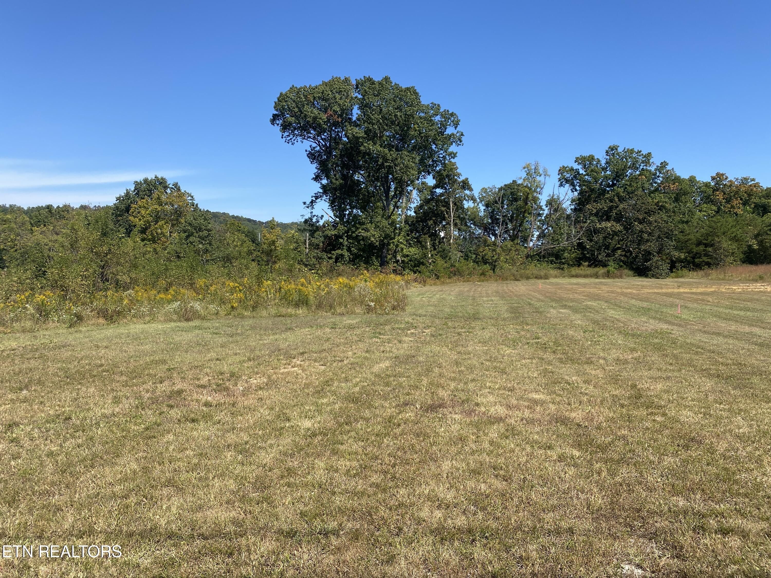 Seymour, Sevier County, TN Commercial Property, Homesites for sale