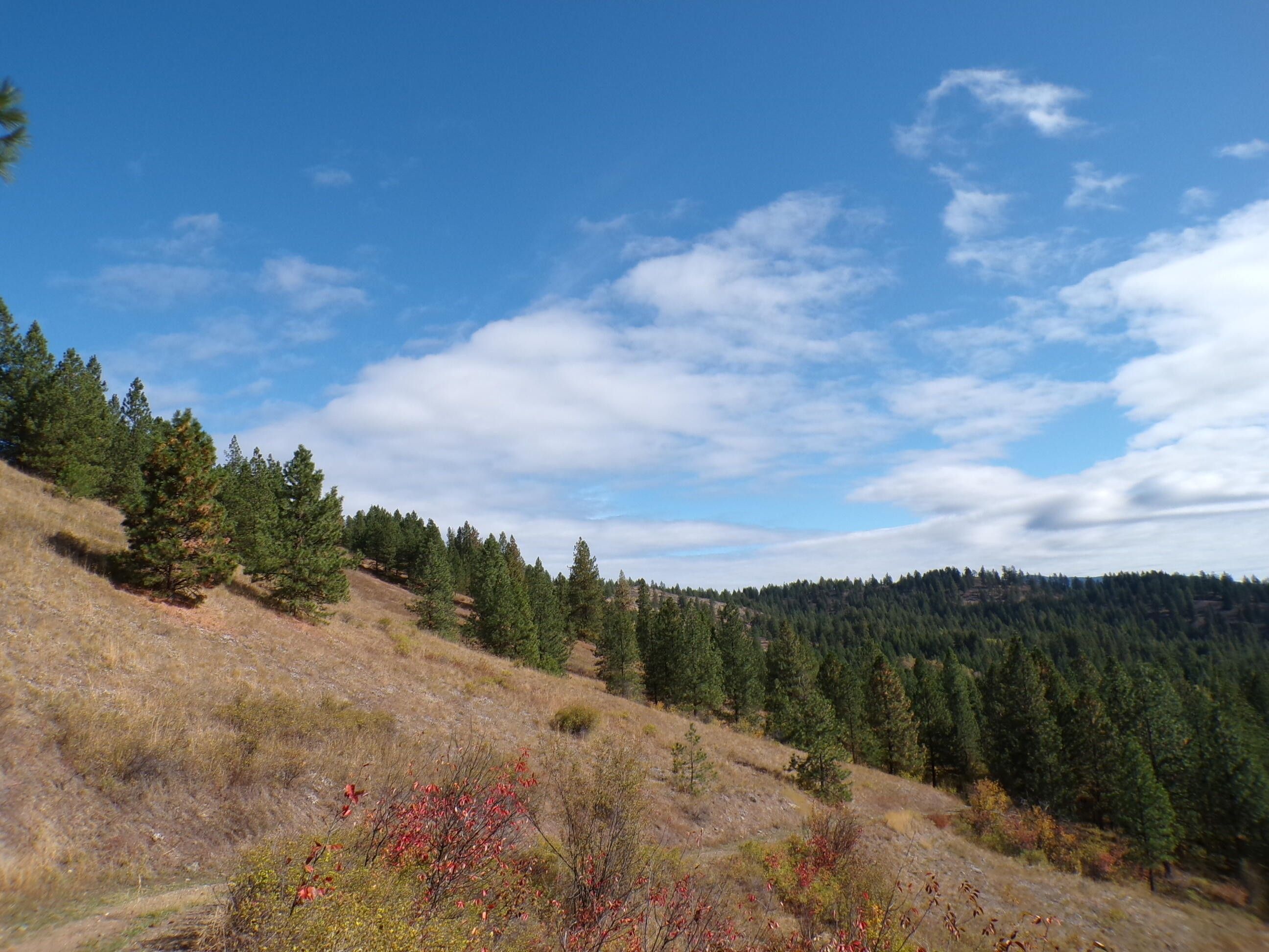 Inchelium, Ferry County, WA Undeveloped Land for sale Property ID