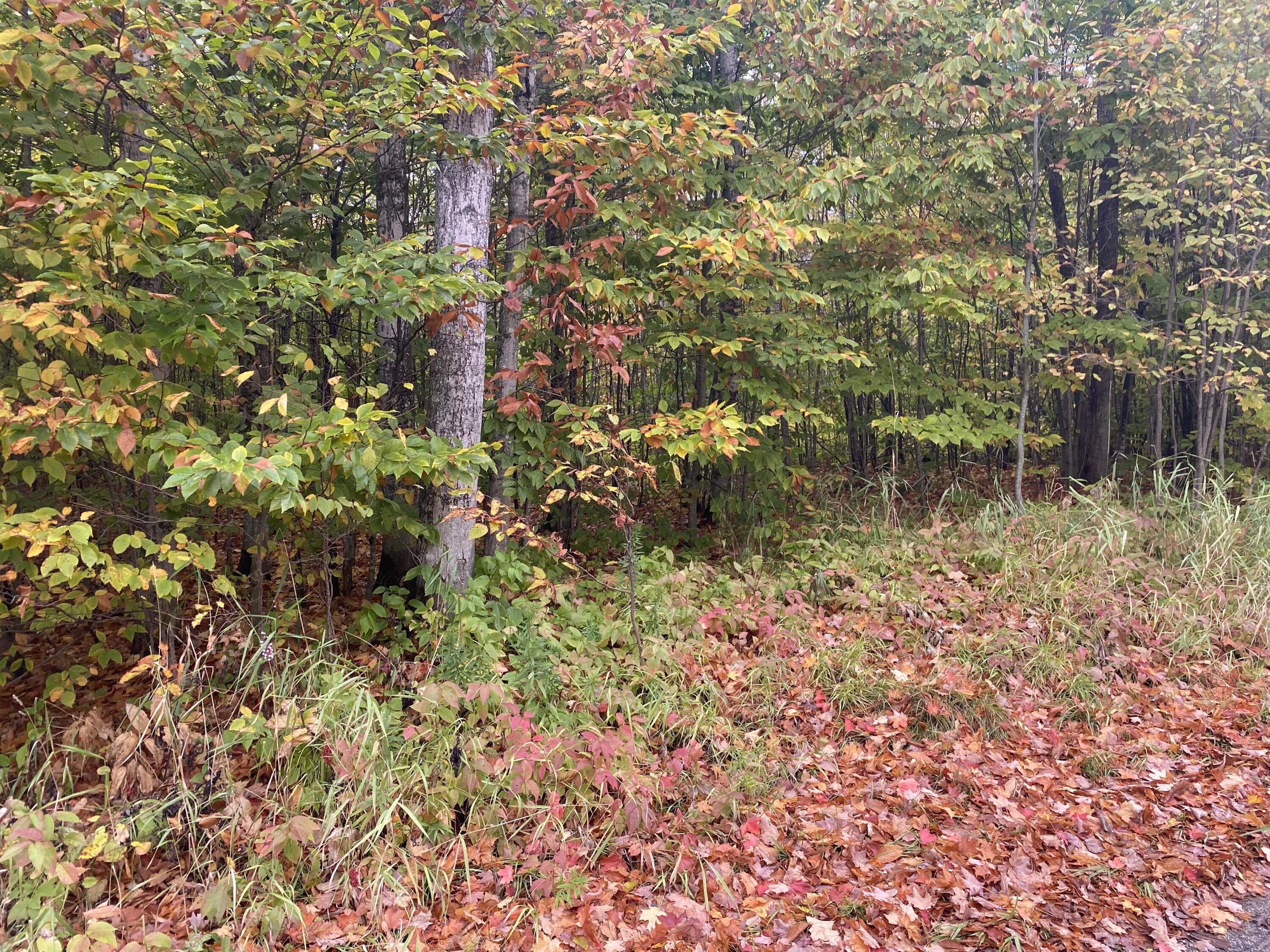 Mcmillan, Luce County, MI Undeveloped Land, Homesites for sale Property ID 417951947 LandWatch
