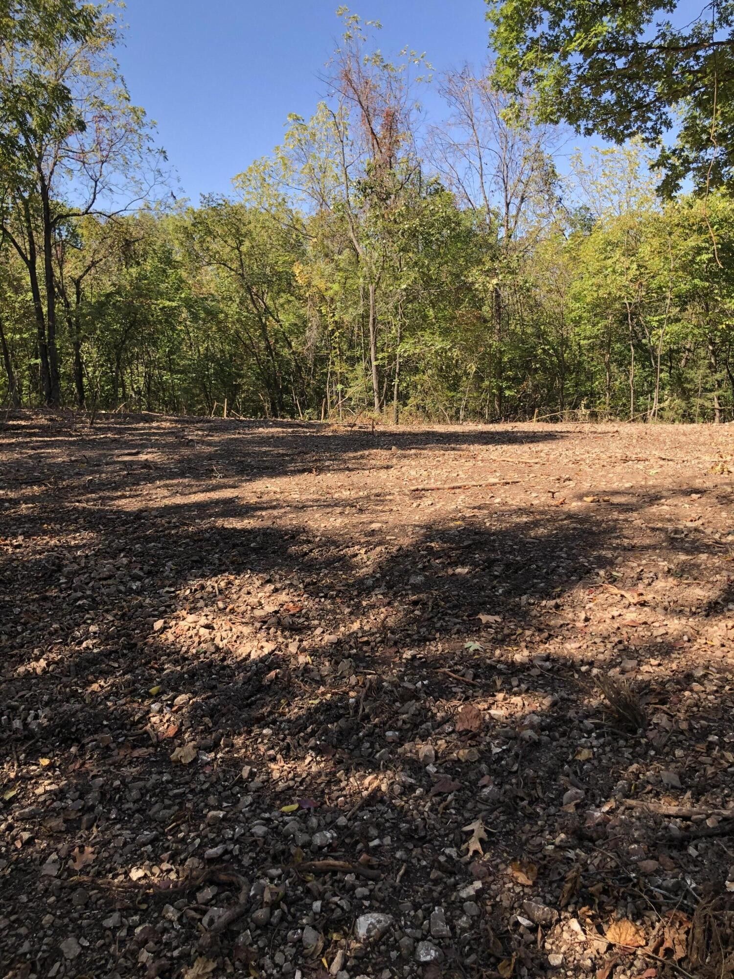 Aurora, Barry County, MO Undeveloped Land for sale Property ID