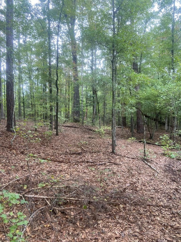 Waverly Hall, Harris County, GA for sale Property ID 417953210 LandWatch