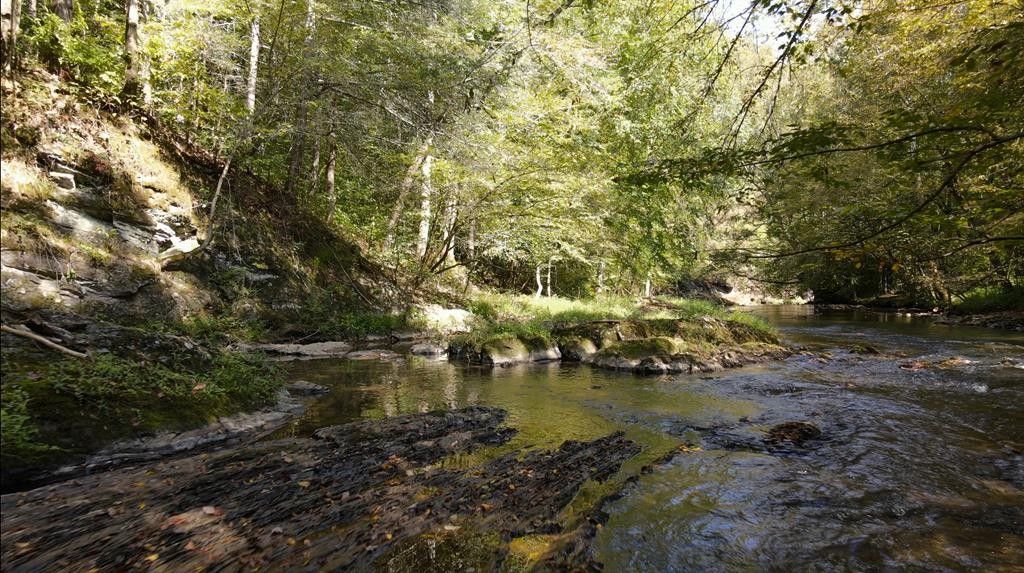 Cosby, Cocke County, TN Undeveloped Land for sale Property ID