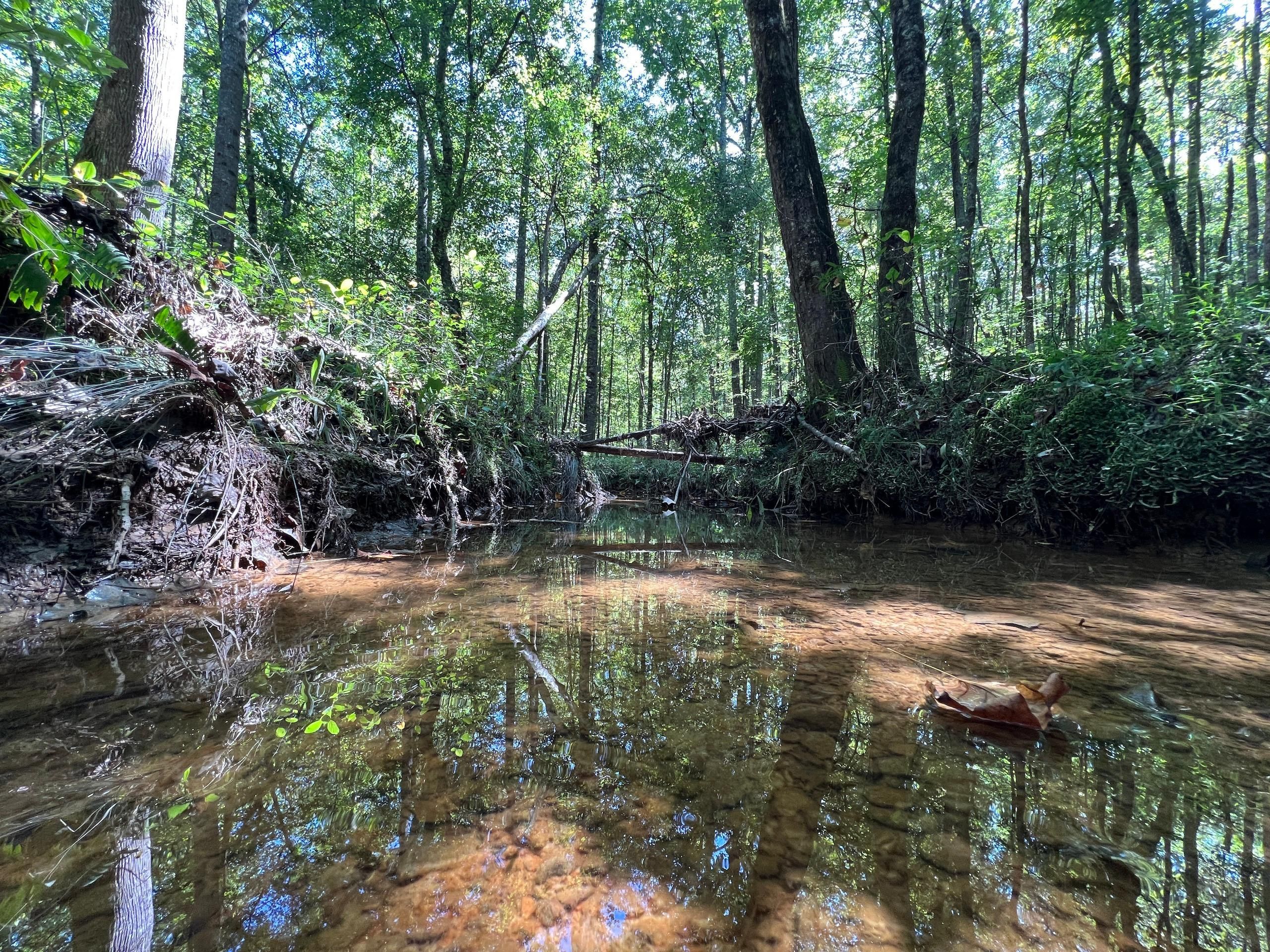 Oneonta, Blount County, AL Recreational Property, Timberland Property