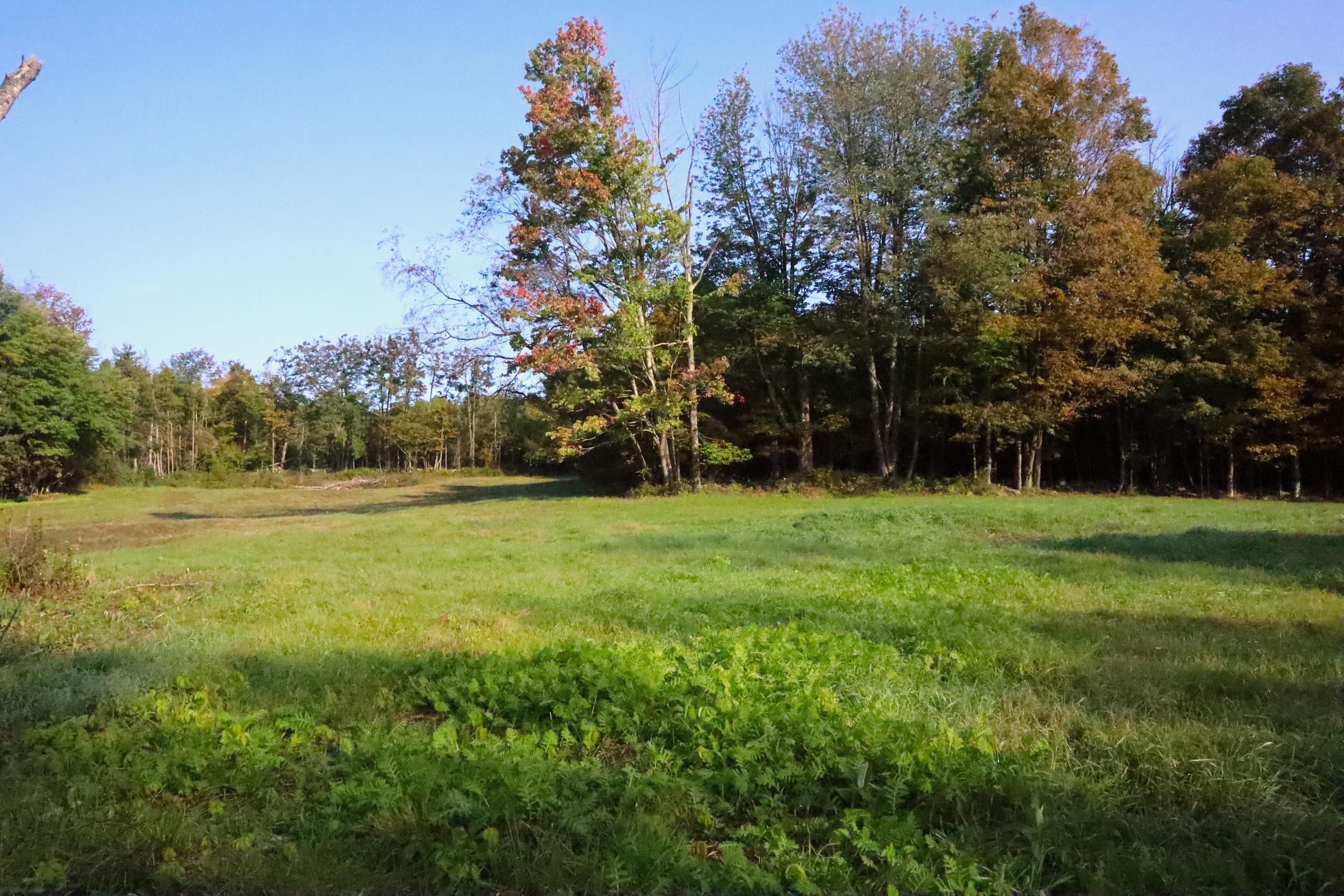 Galway, Saratoga County, NY Recreational Property, Hunting Property for