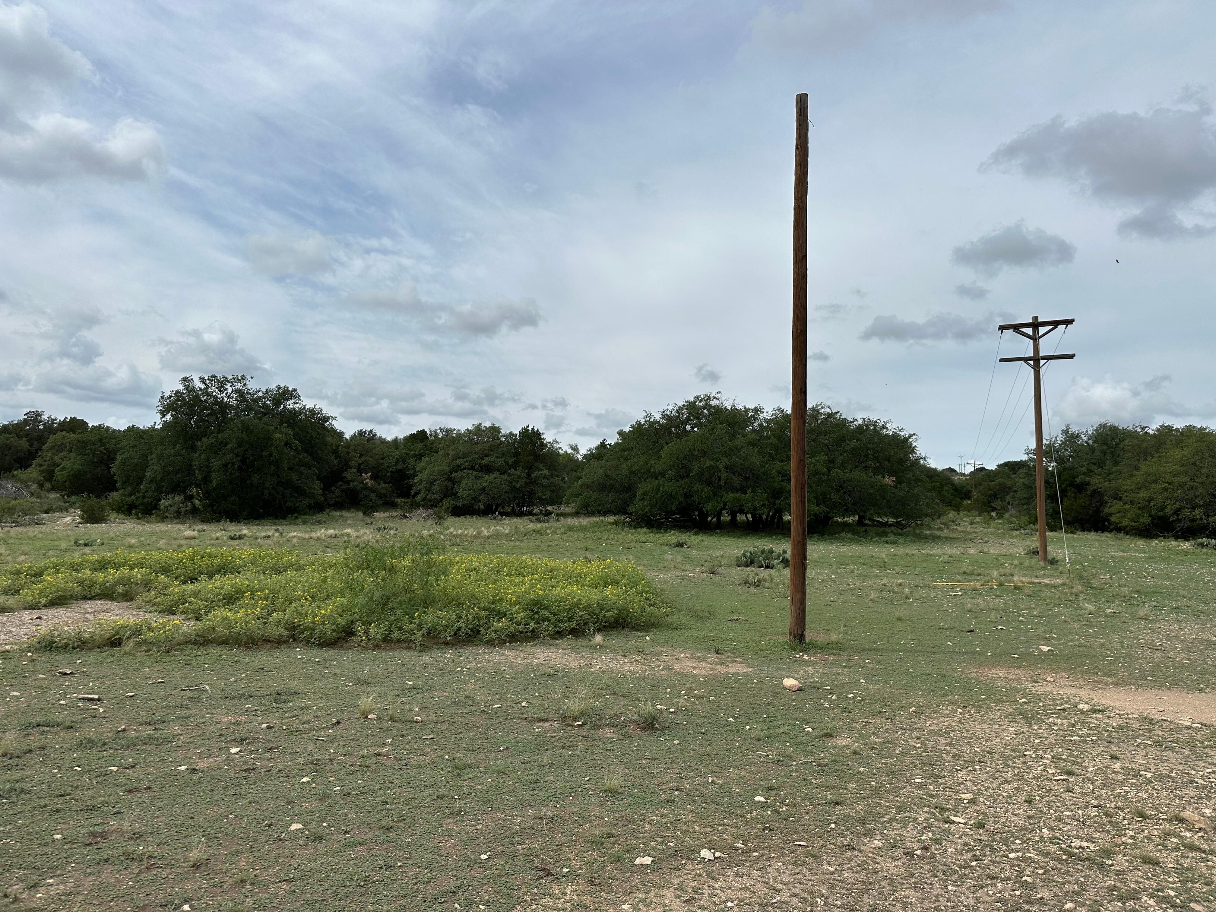 76.25 acres in Ozona, TX, 76943 MLS Electric Oaks Exotics