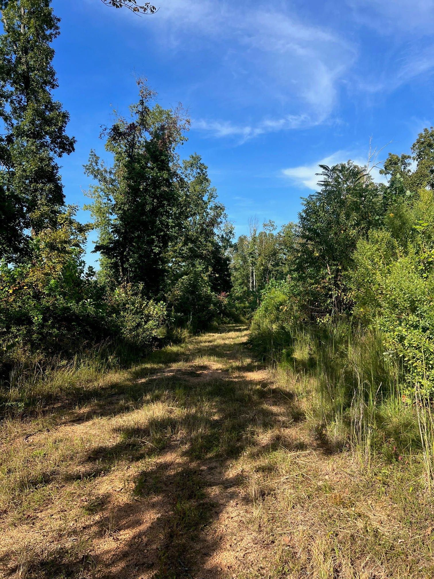 Clifton, Perry County, TN Recreational Property, Undeveloped Land for sale Property ID