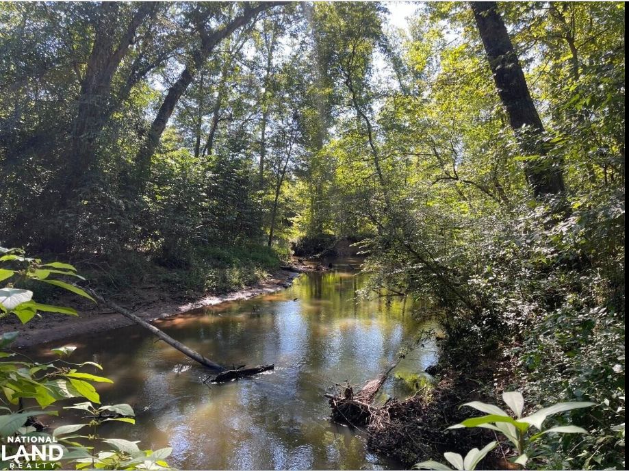 Alabama 118, Beaverton, AL 35544 LandWatch