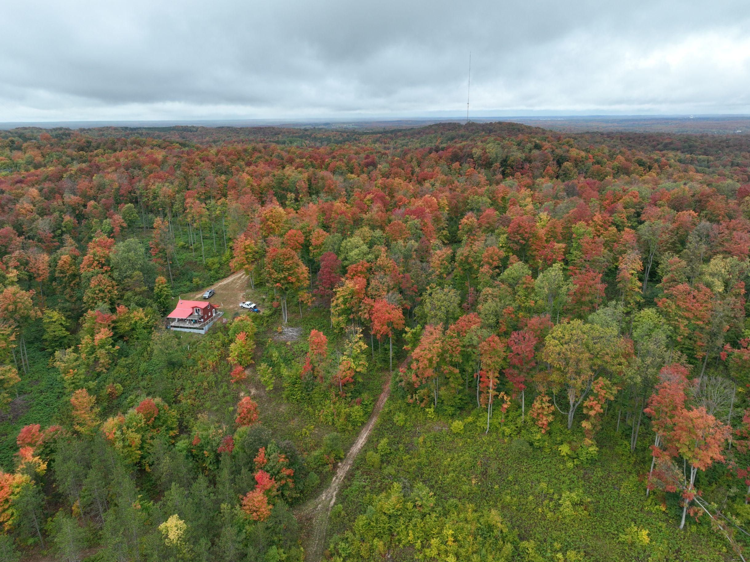 Tustin, Osceola County, MI Recreational Property, Timberland Property