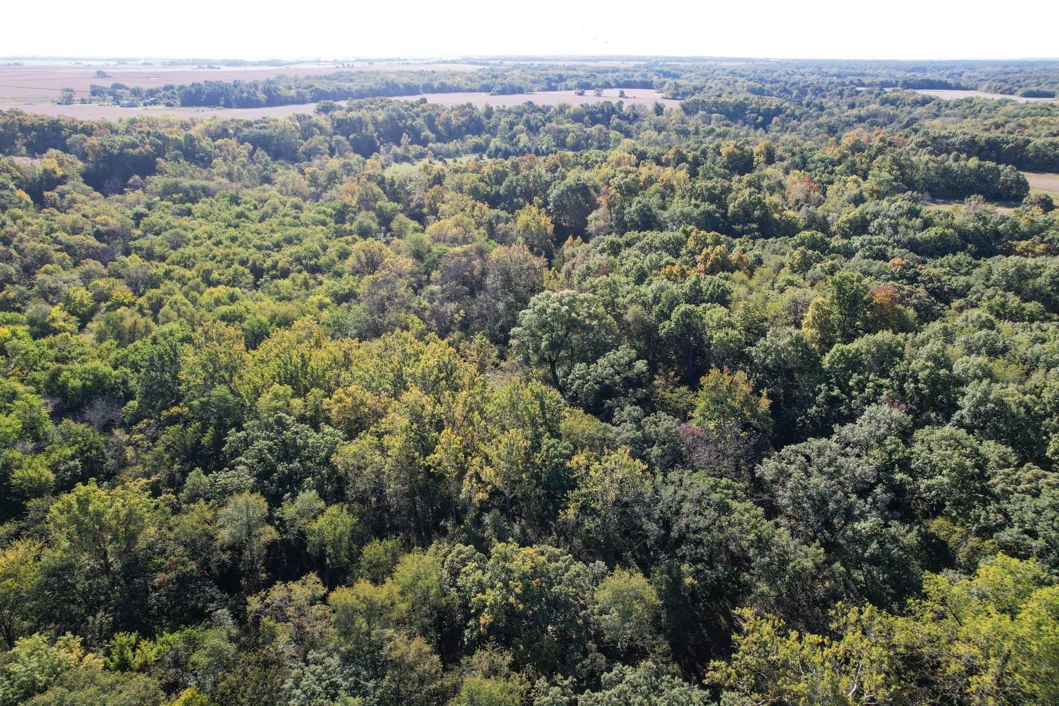 Princeton, Bureau County, IL Recreational Property, Timberland Property