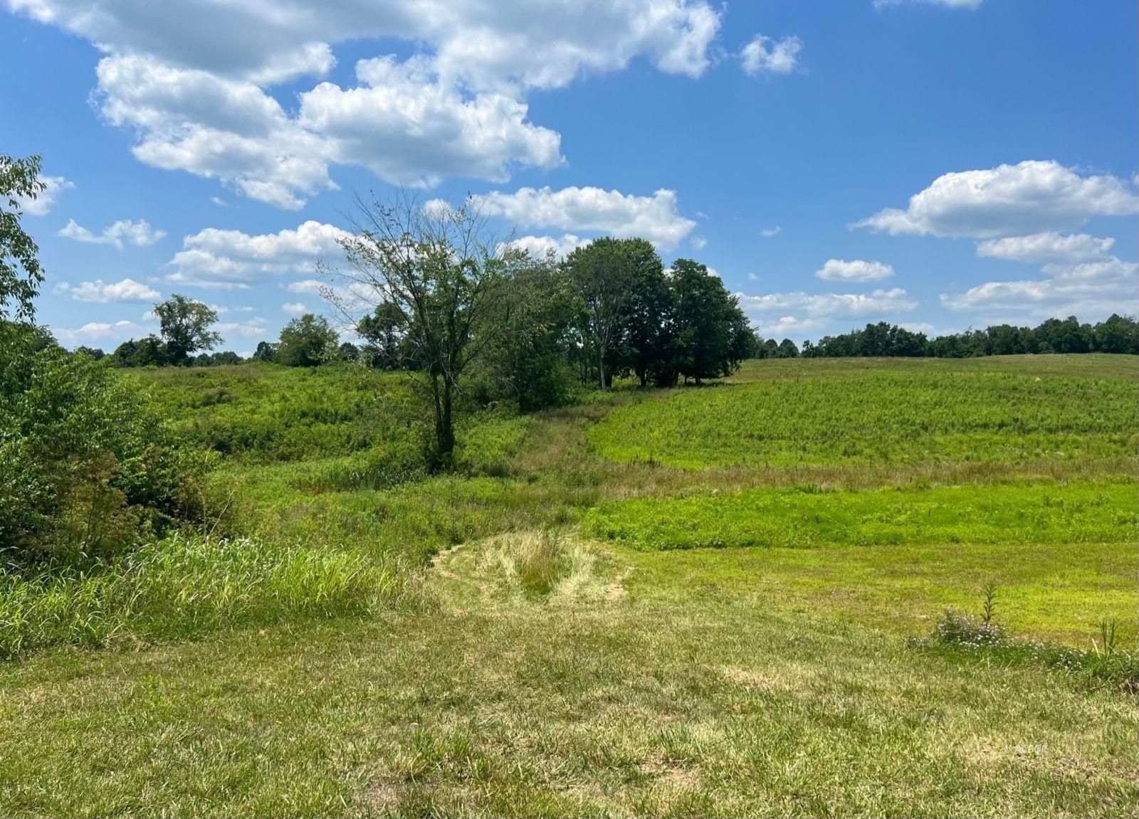 Salem School Lot Road, Langsville, OH 45741 MLS 2431090 LandWatch