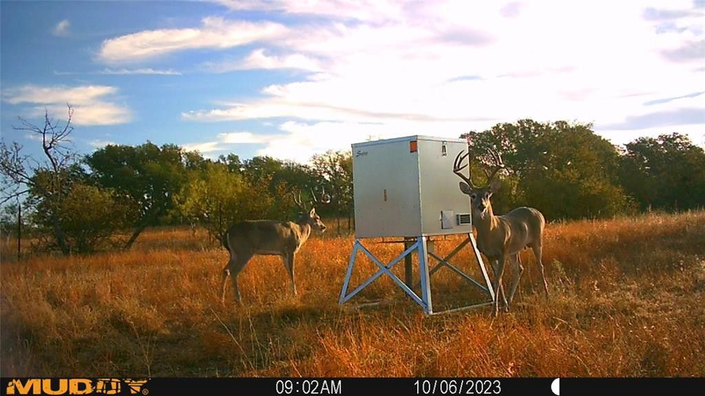 Mullin, Mills County, TX Farms and Ranches for sale Property ID