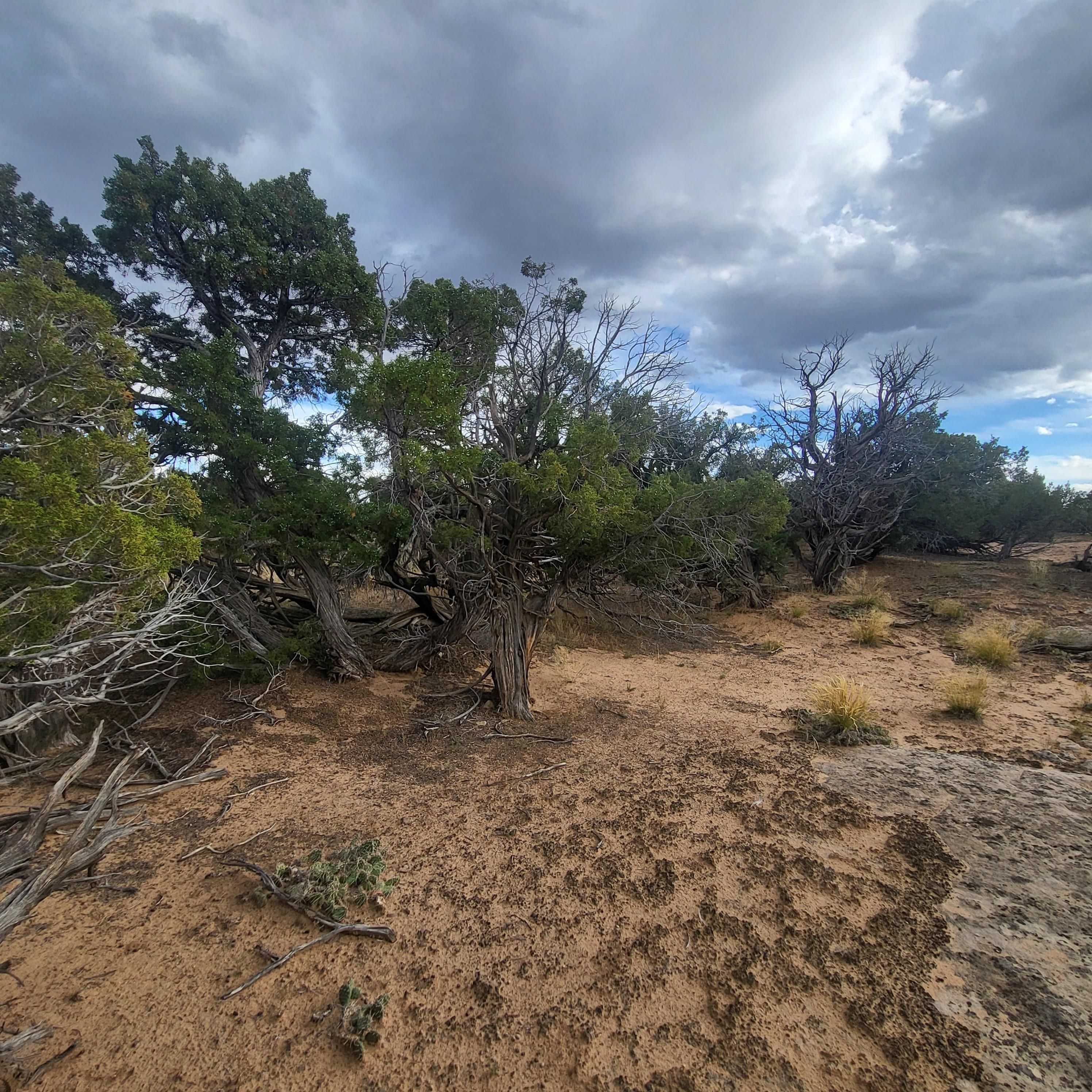 Duchesne, Duchesne County, UT Recreational Property, Undeveloped Land