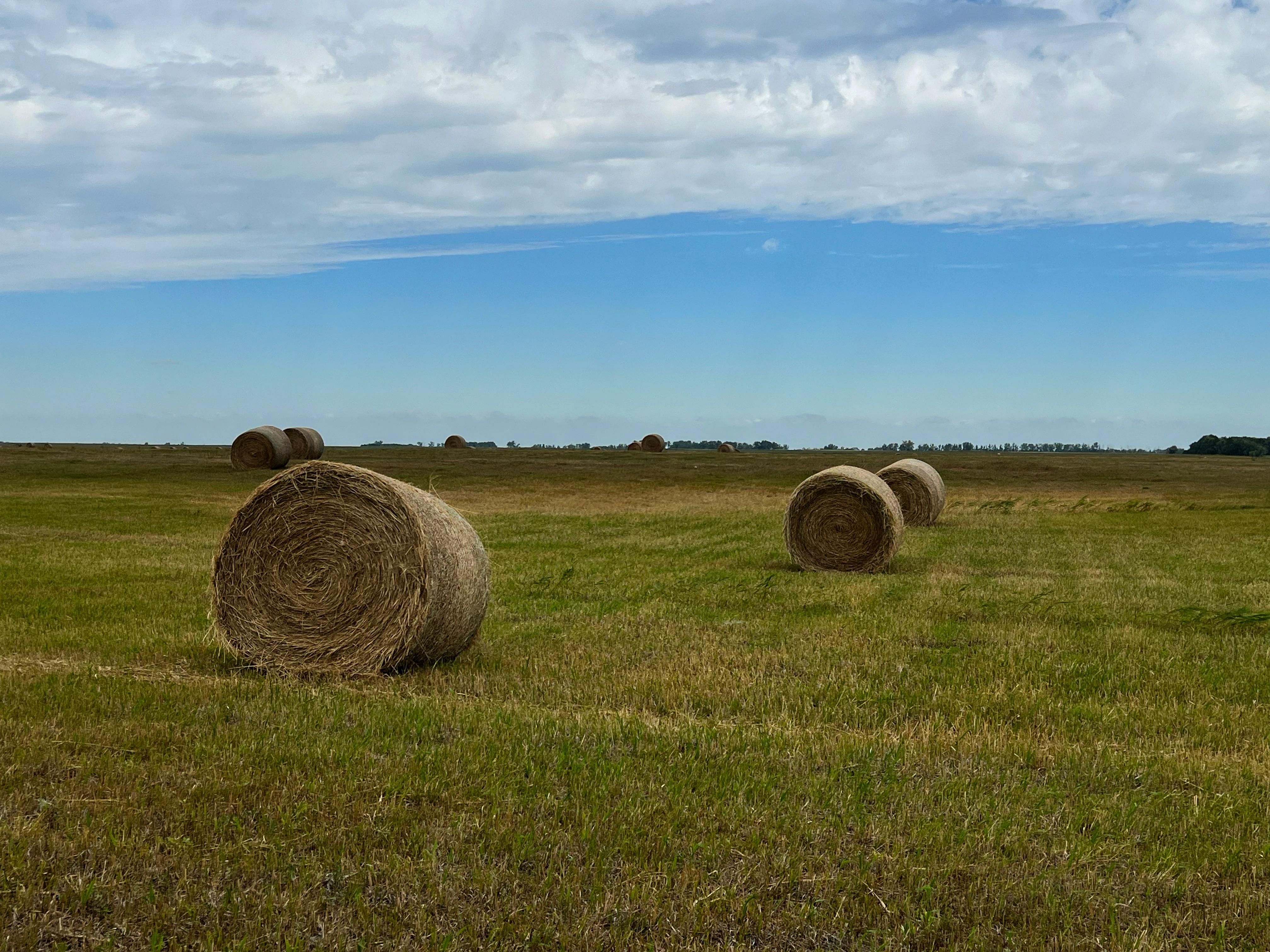 160 acres in Granville, ND, 58741 LandWatch