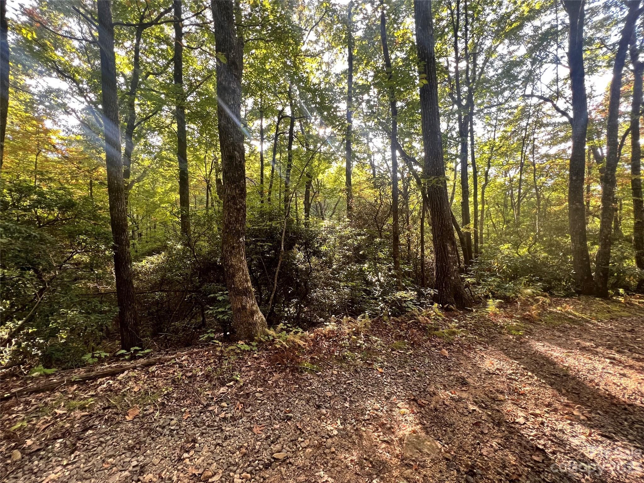 Black Mountain, County, NC Undeveloped Land, Homesites for