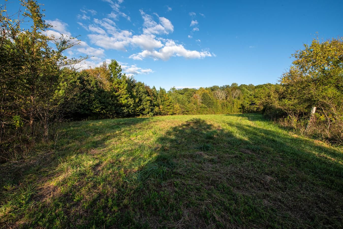 Trinity, Randolph County, NC Recreational Property, Hunting Property