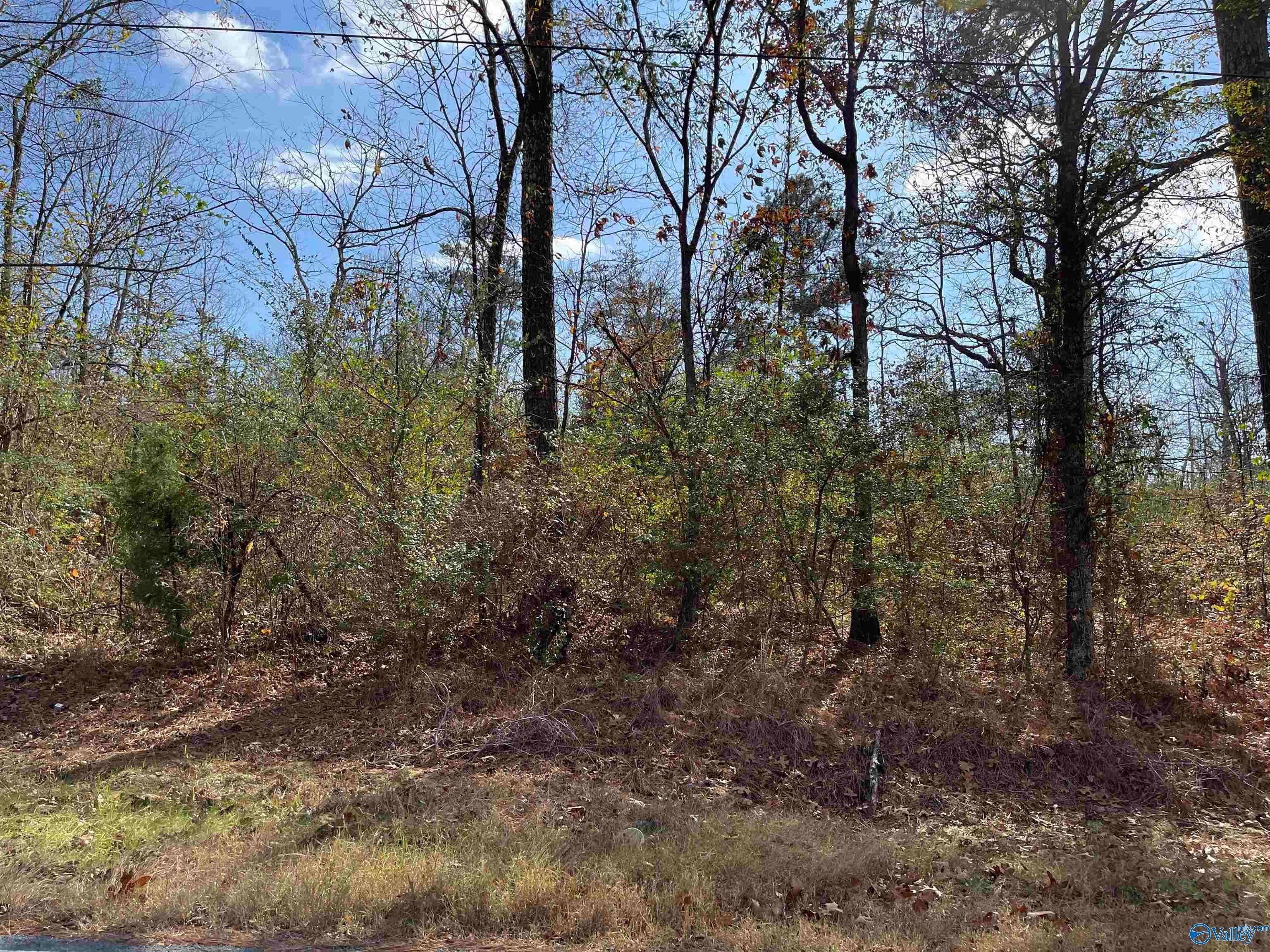 County Road 166, Sand Rock, AL 35983 MLS 1822275 LandWatch