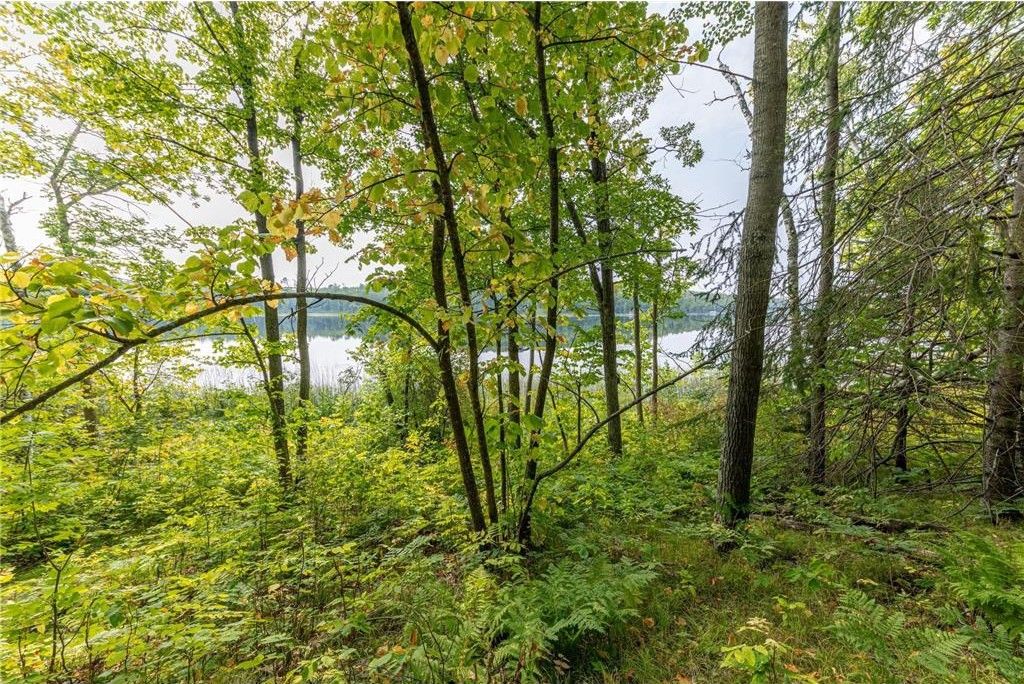 Parcel 1 N Little Thunder Drive NE, Remer, MN 56672 MLS 6445512