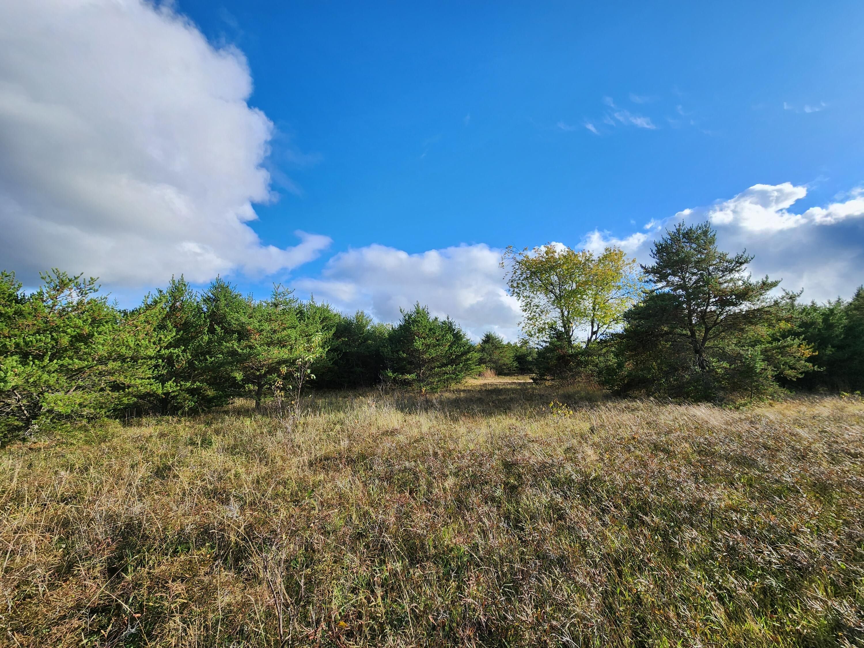 Co Rd 491, Lewiston, MI 49756 MLS 201826790 LandWatch