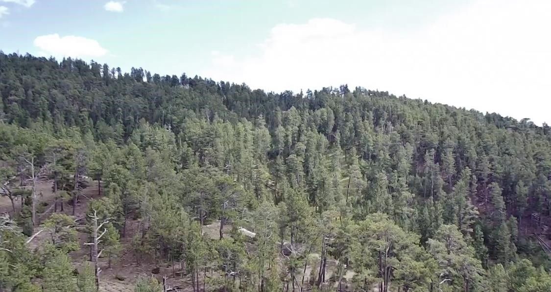 Sundance, Crook County, WY Undeveloped Land for sale Property ID 417960806 LandWatch