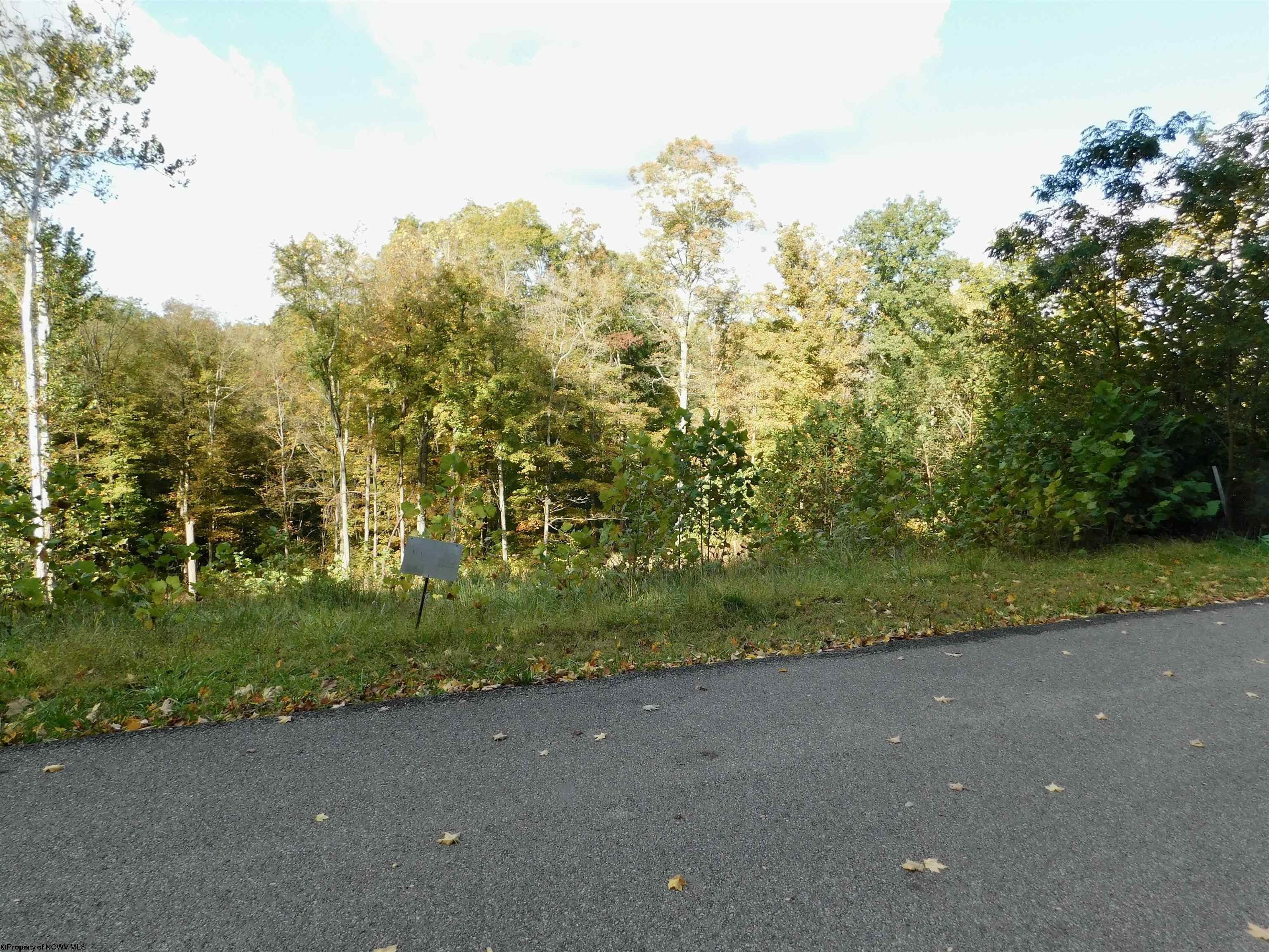 Monongalia County, WV Undeveloped Land, Homesites for sale Property ID 417961853