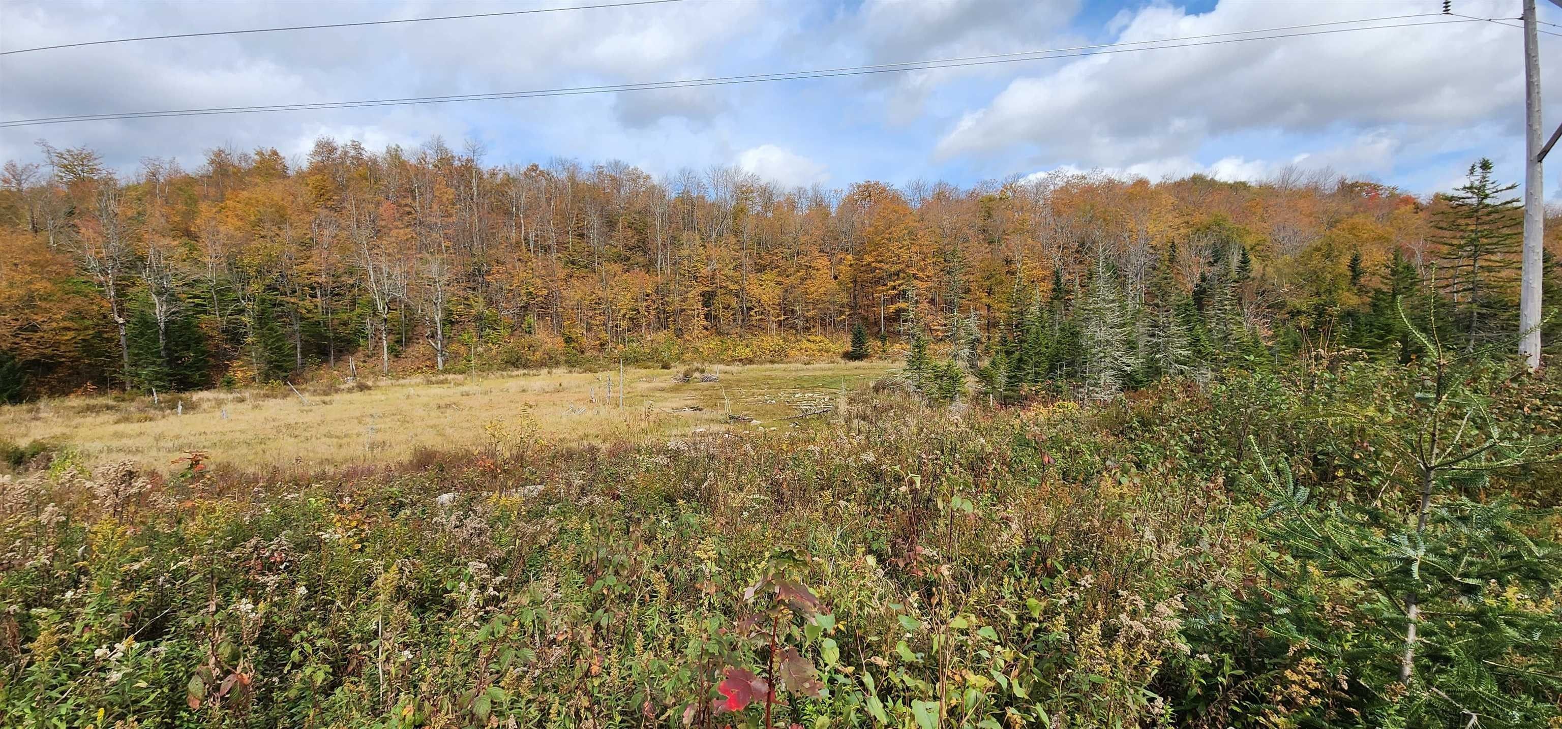 Orange, Orange County, VT Undeveloped Land for sale Property ID