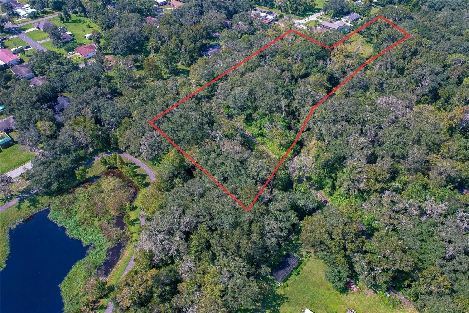 Plant City, Hillsborough County, FL Undeveloped Land, Homesites for