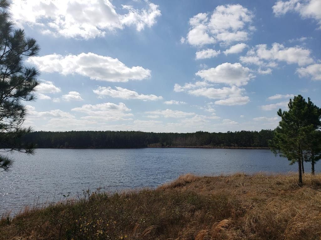 Baxley, Appling County, GA Lakefront Property, Waterfront Property for