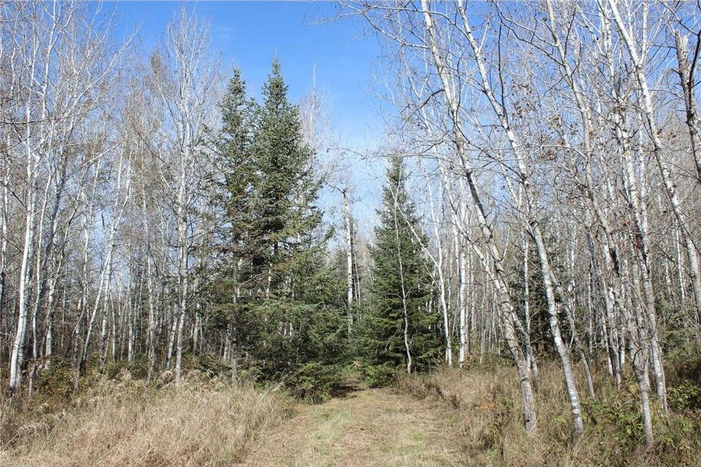 Baudette, Lake of the Woods County, MN Undeveloped Land for sale