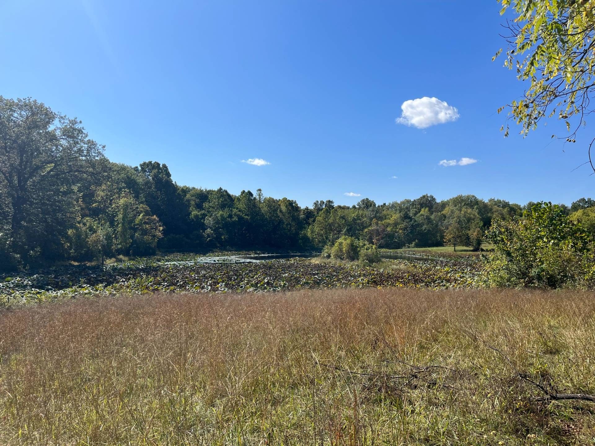 Flat Rock, Crawford County, IL Undeveloped Land for sale Property ID