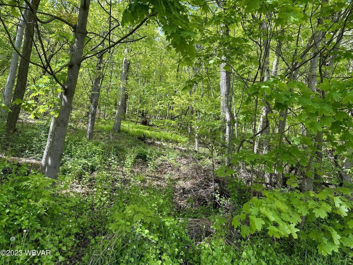 Lock Haven, Clinton County, PA Undeveloped Land, Homesites for sale