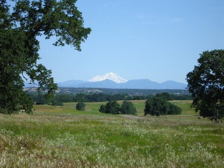 Cottonwood, Tehama County, CA Undeveloped Land for sale Property ID