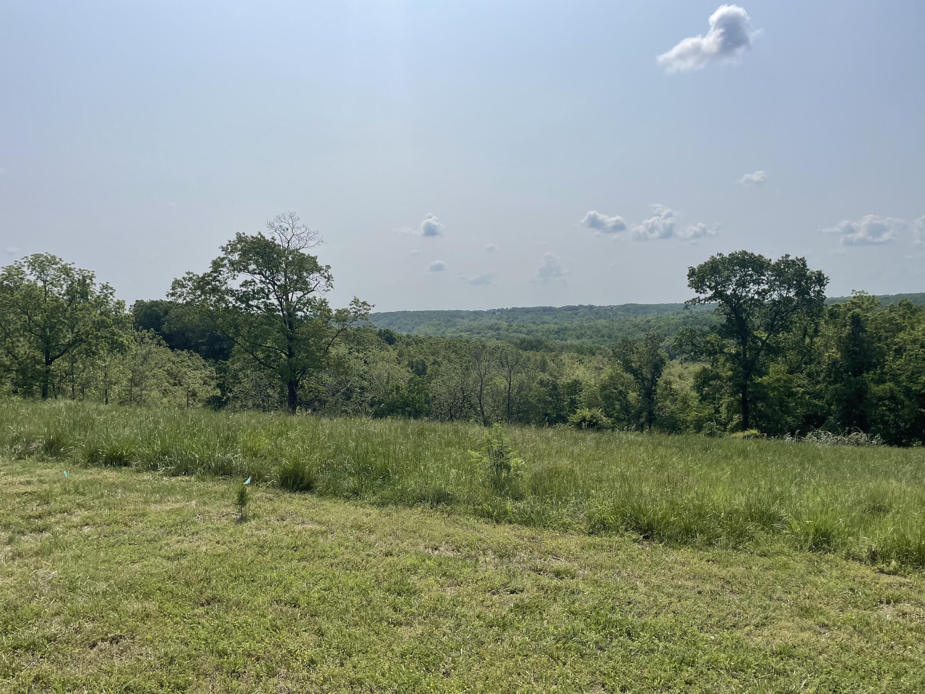 Mountain Grove, Wright County, MO Undeveloped Land for sale Property ID