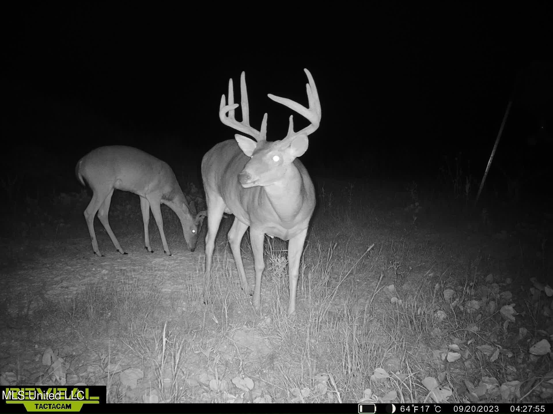 Lexington, Holmes County, MS Undeveloped Land for sale Property ID