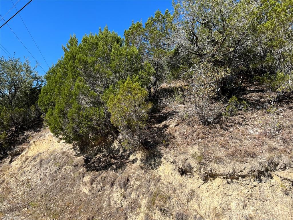 Austin, Travis County, TX Undeveloped Land, Homesites for sale Property