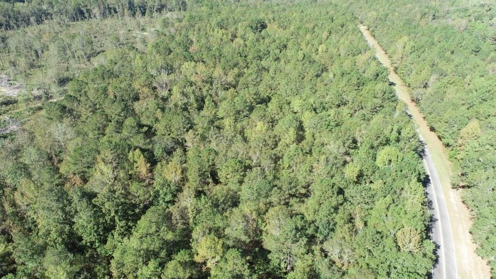 Roberta, Crawford County, GA Recreational Property, Undeveloped Land for sale Property ID