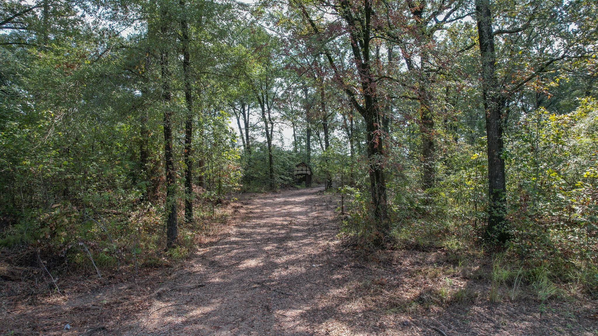TBD FM 259, De Kalb, TX 75559 MLS Wooded Property Close to Sulphur
