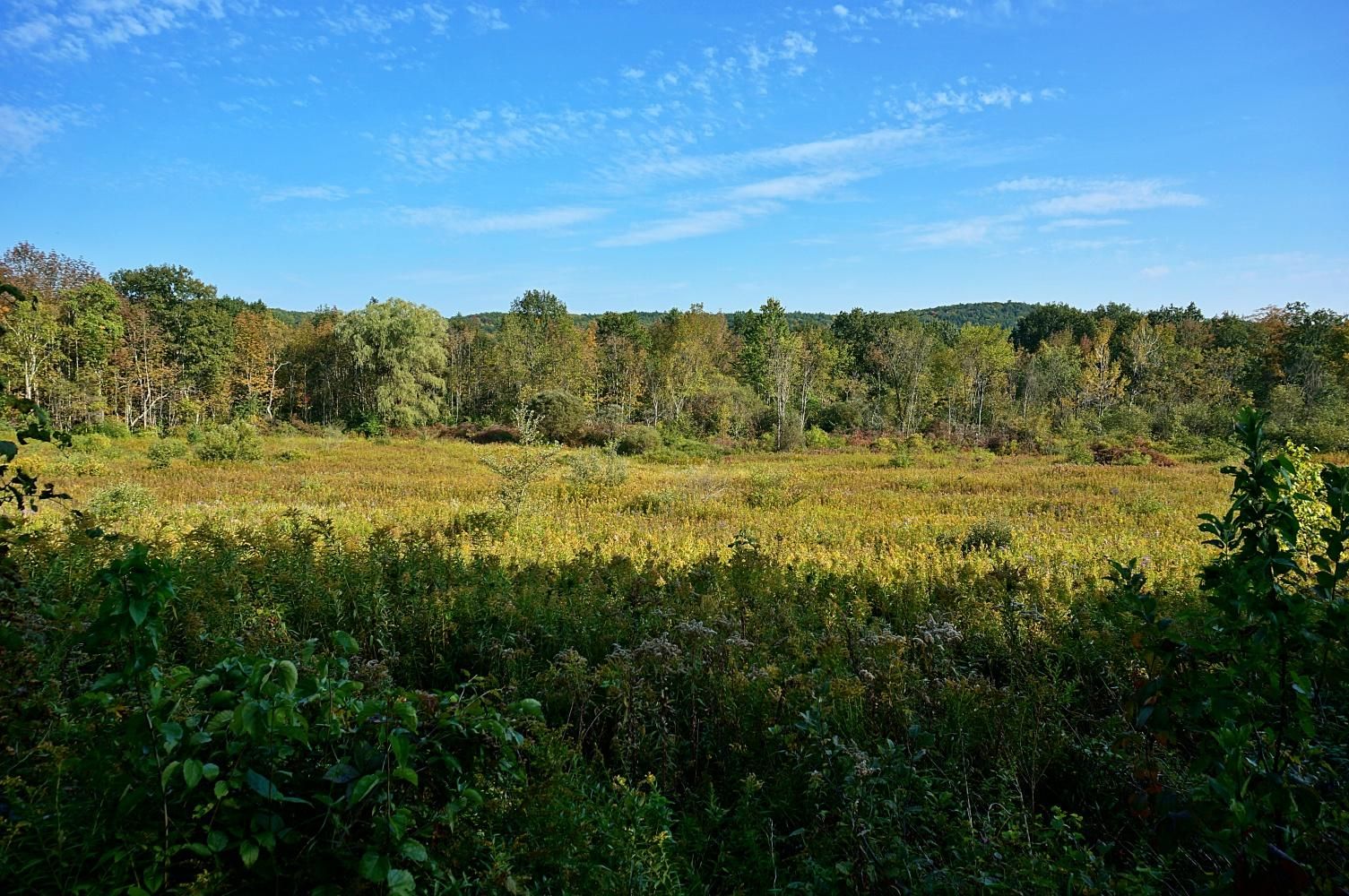 Hebron, Washington County, NY Undeveloped Land, Hunting Property for
